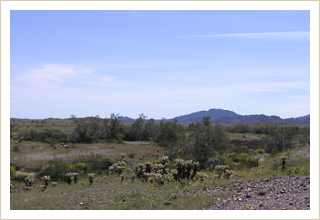 Picacho Back Country Photo Gallery