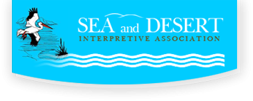 Sea and Desert Interpretive Association